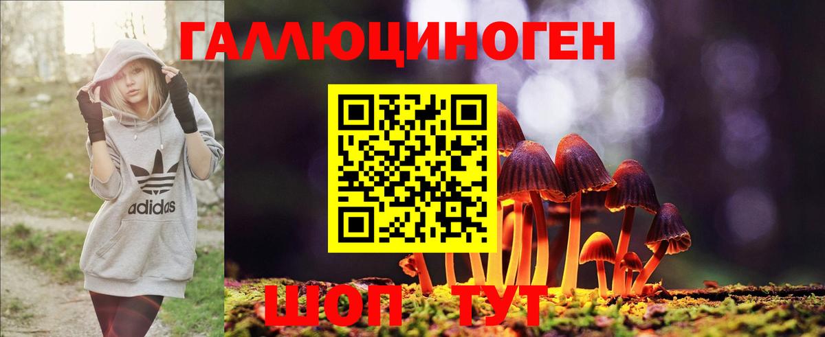 Галлюциногенные грибы GOLDEN TEACHER Майкоп